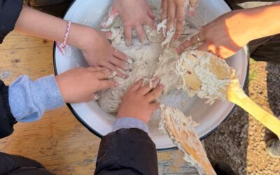 Lernort Bio-Bauernhof