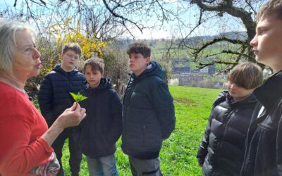 Essbare Wildpflanzen mit allen Sinnen erleben und sinnvoll verwenden