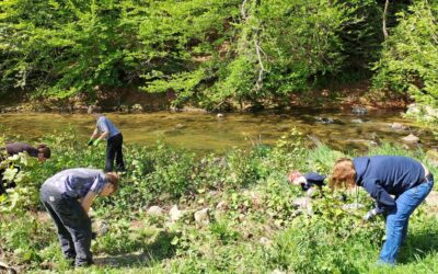 „Naturwerker – Wir bewegen was!“