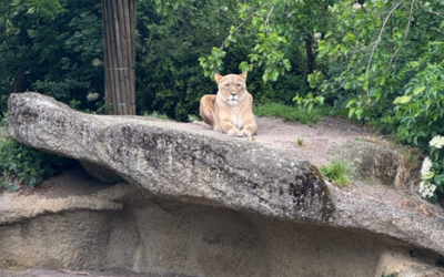 Zoobesuch der 7a